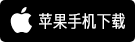 App Store 下载